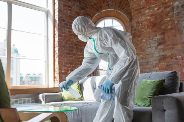 Best Mold Odor Removal Services  in Dixon, IL