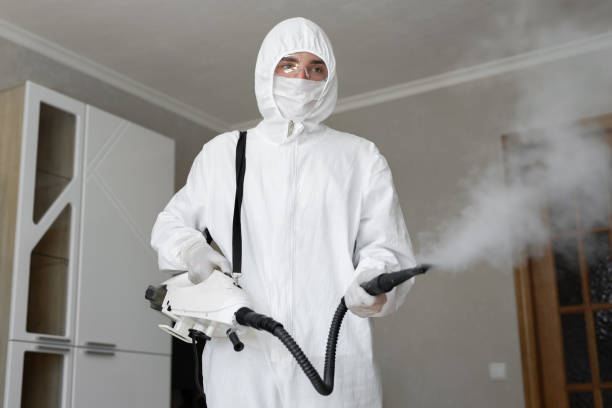 Mold Remediation for Vacation Homes